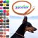 画像1: 【選べるカラー35色/オーダーメイド】犬用/ハーフチョーク/パラ チョーク/パラコードチョーク/パラシュートコード/首輪/幅約9mm (1)