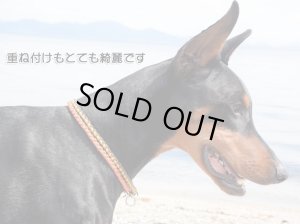 画像5: 【選べるカラー35色/オーダーメイド】犬用/ハーフチョーク/パラ チョーク/パラコードチョーク/パラシュートコード/首輪/幅約9mm